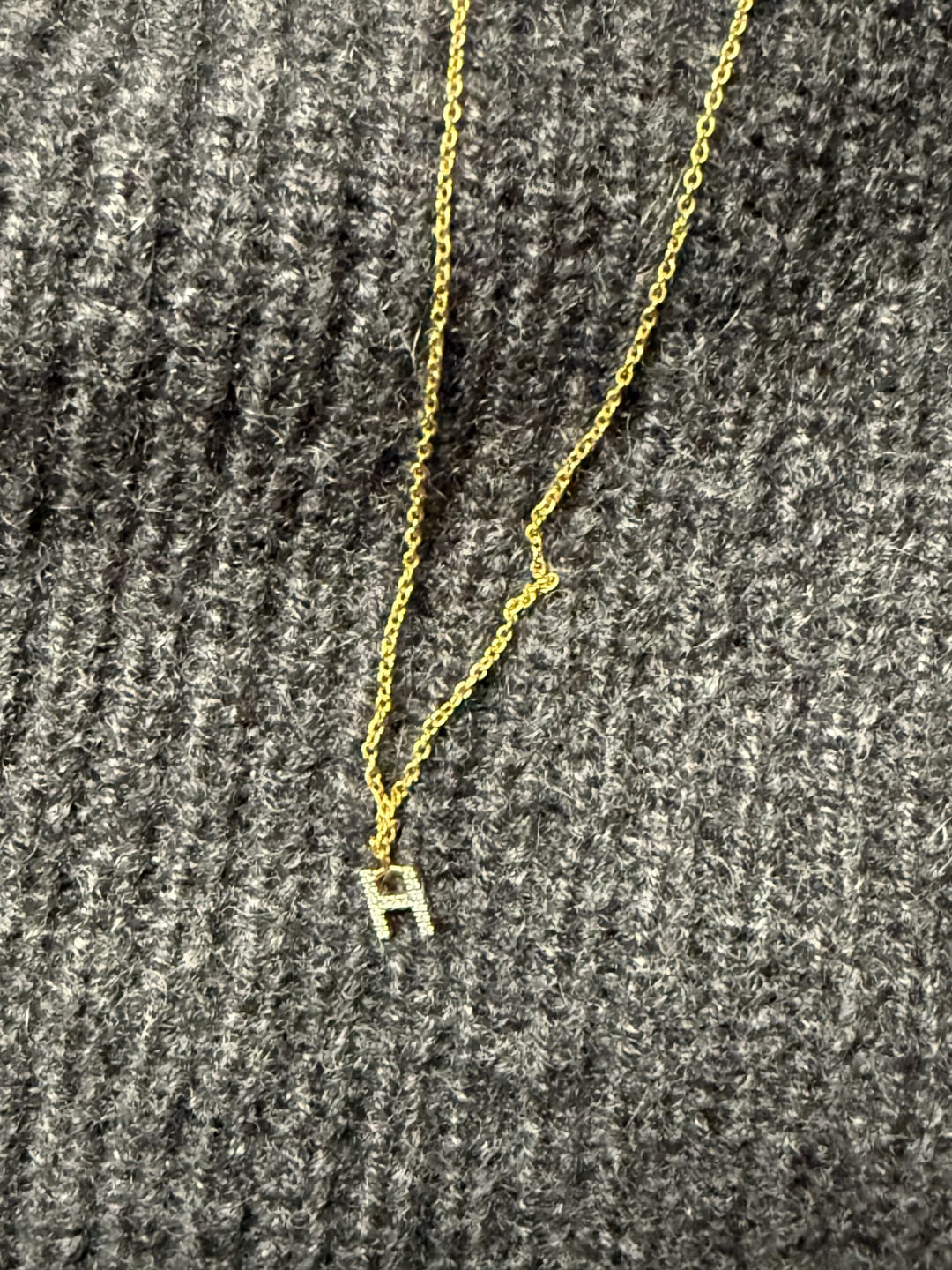 Customer photo review of Custom Charm Necklace
