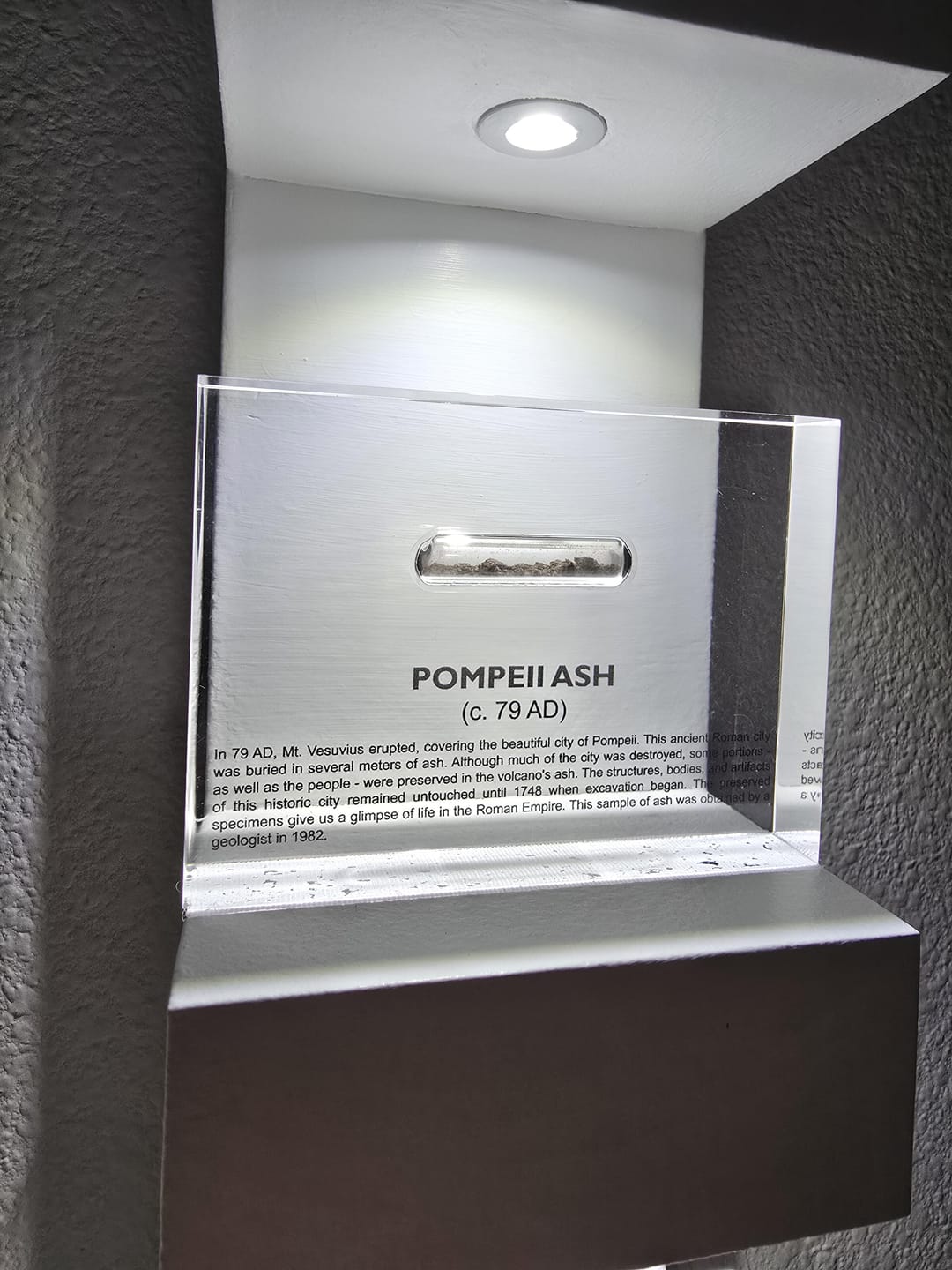 Customer photo review of Personal Museum Subscription