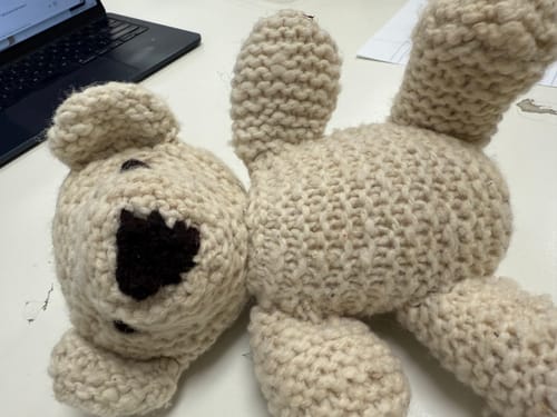 Customer photo review of Wool Knit Buddy  | Vee Cream Bear