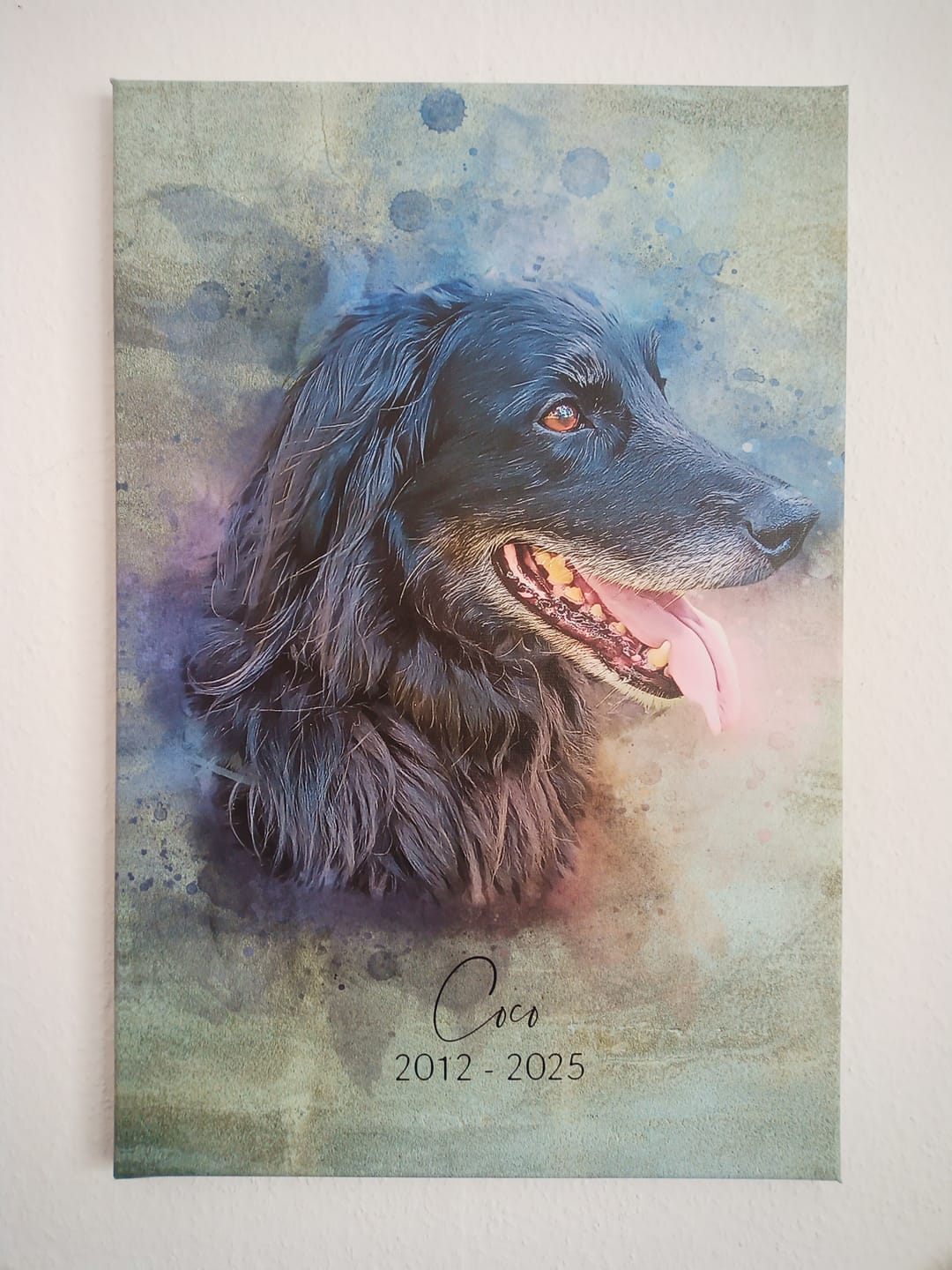 Customer photo review of Dein Hund als Aquarell Tierportrait | Geschenk für Hundebesitzer