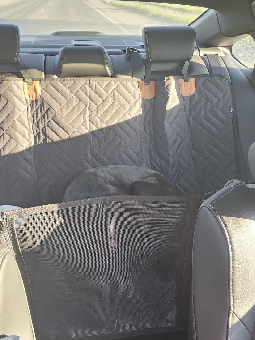 Customer photo review of The Guardian - Dog Seat Cover