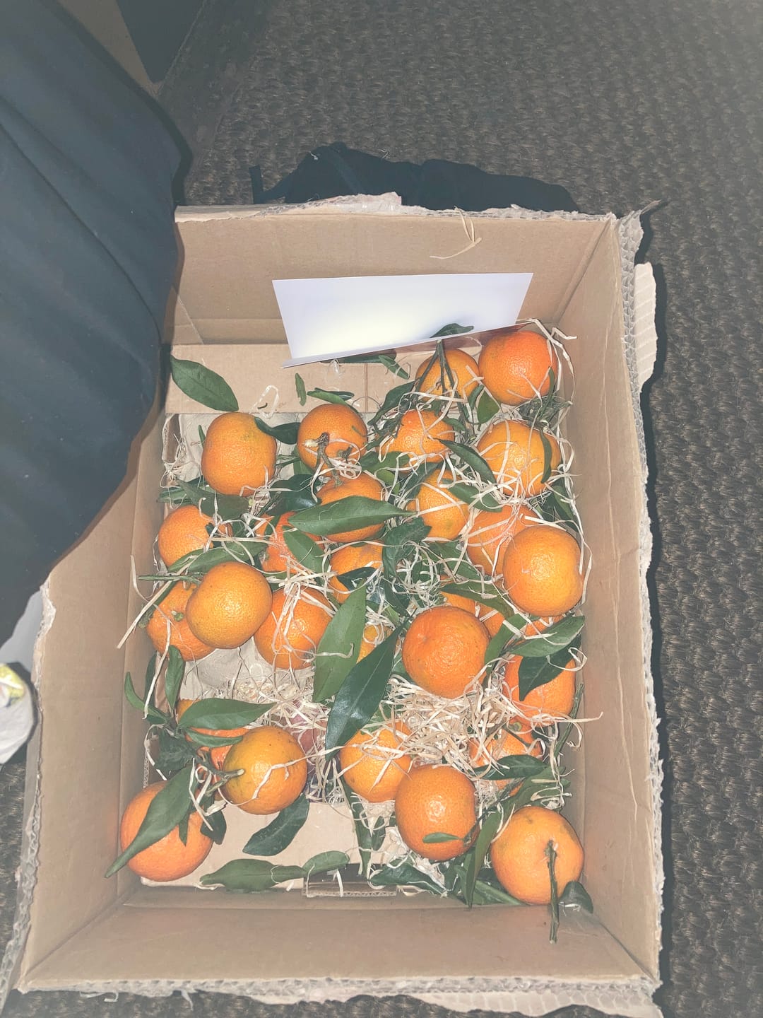 Customer photo review of Mango Sensacion Sonderaktion %