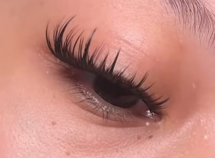 Customer photo review of Camellia