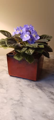 Aurelia B. review of Hydration Renew image 1 out of 1