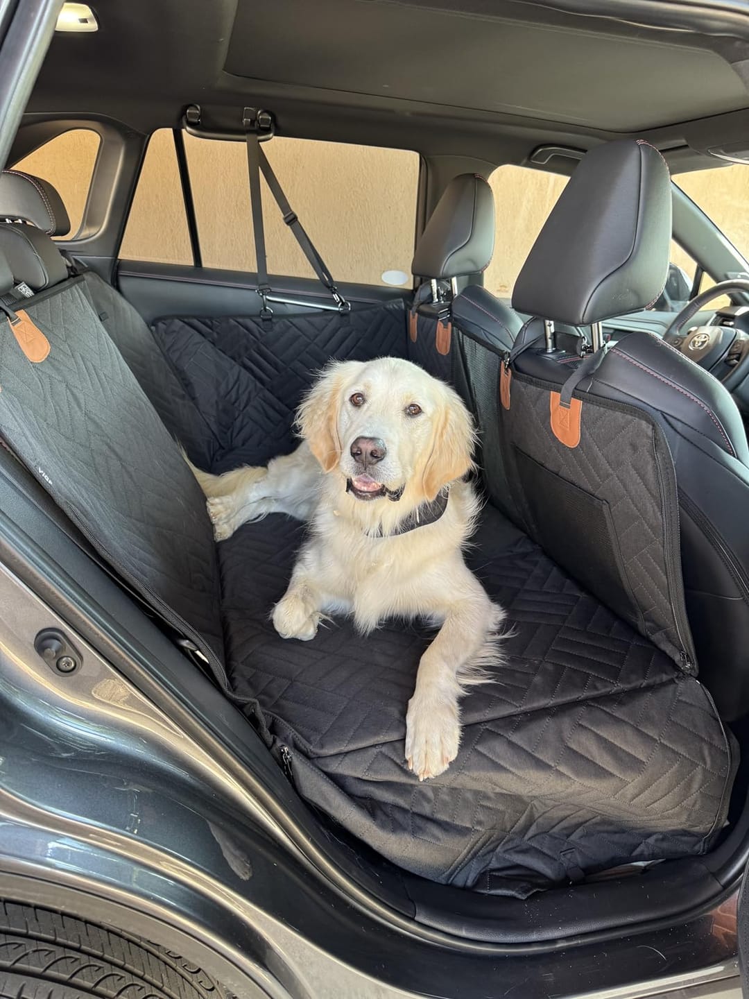 Customer photo review of The Guardian - Dog Seat Cover