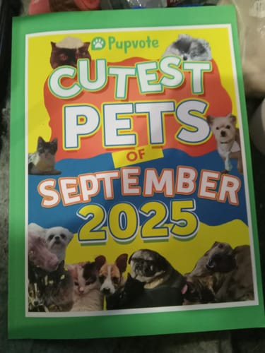 Customer photo review of Meet the Cutest Pets of Pupvote in the 2025 Photobook