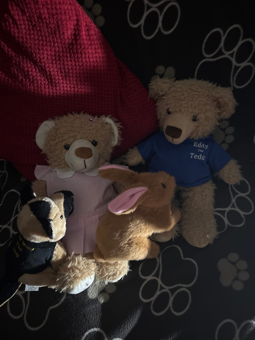 Customer photo review of Brenda the Bunny
