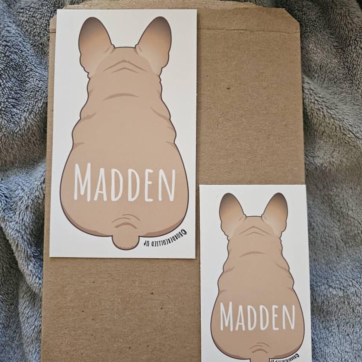 Customer photo review of French Bulldog Behind Sticker