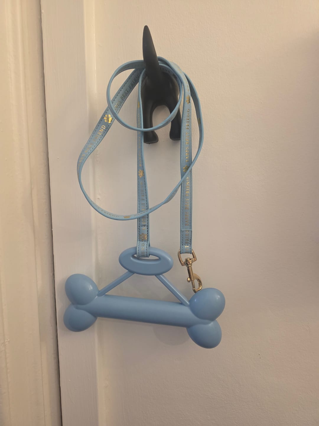 Customer photo review of P.Louise Dog Lead
