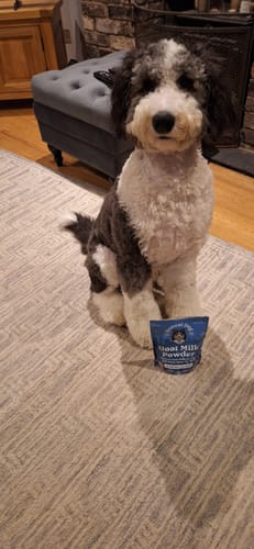 Customer photo review of Goat Milk Powder for Dogs
