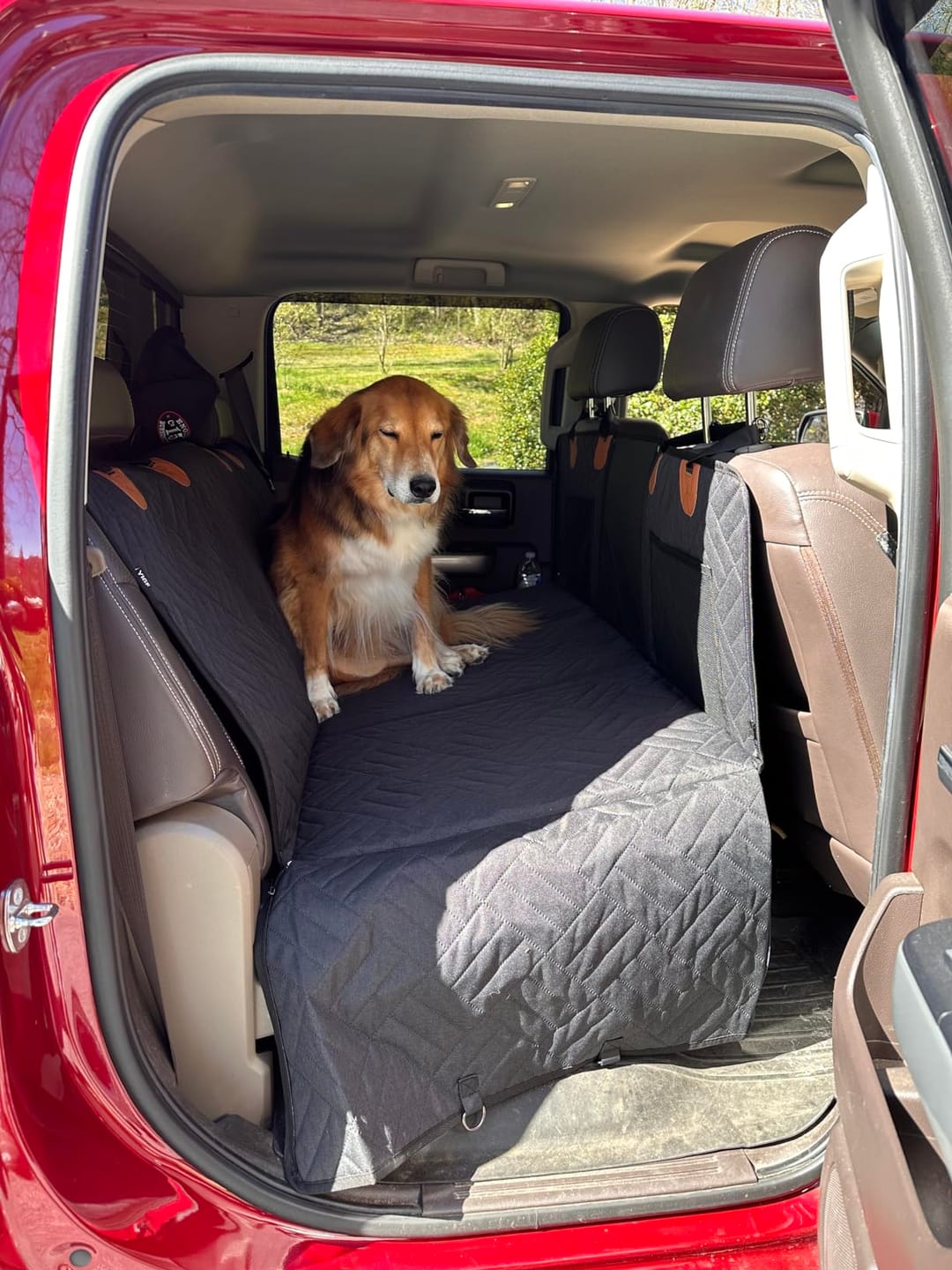 Customer photo review of The Guardian - Dog Seat Cover