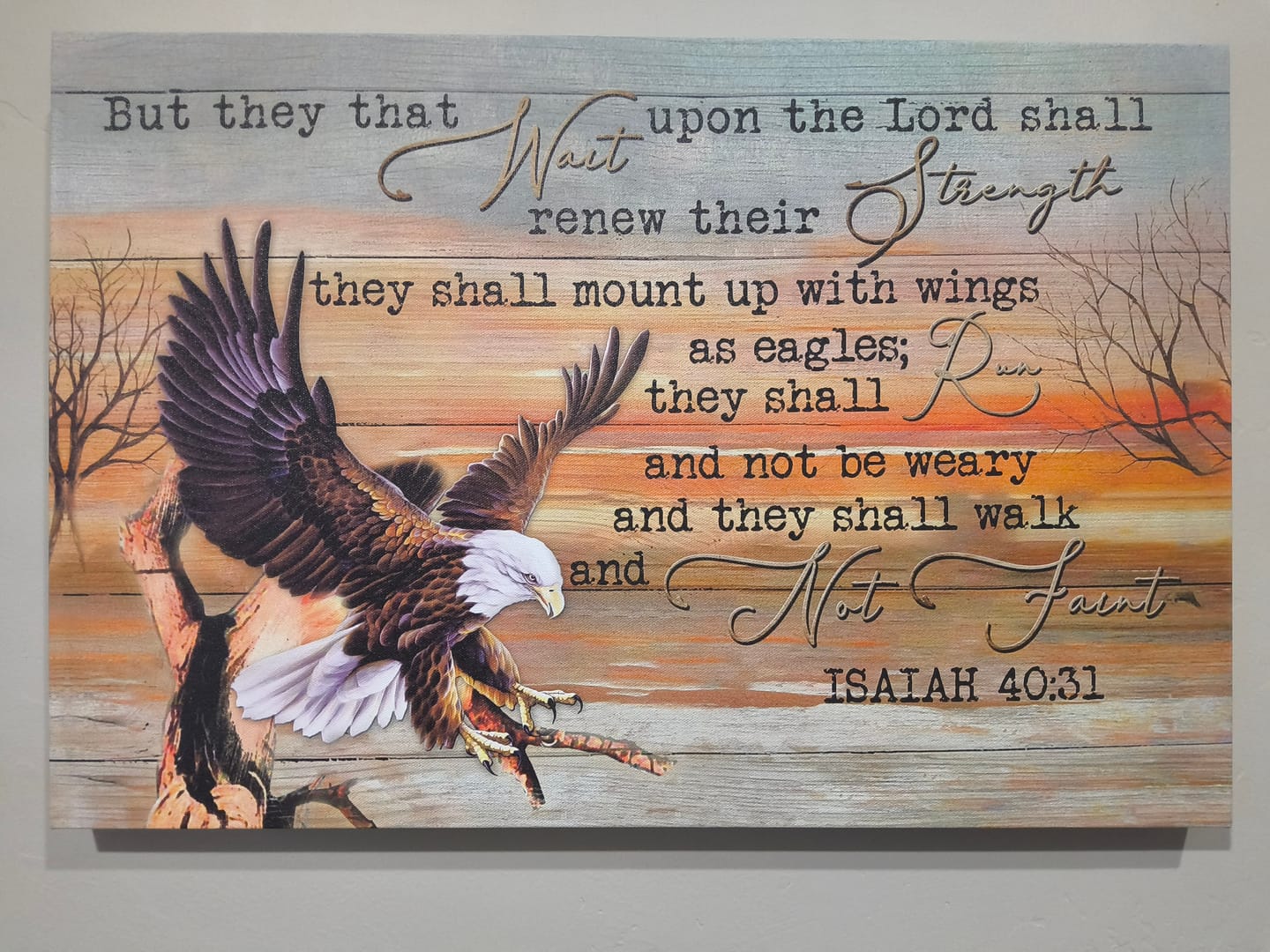Customer photo review of They That Wait Upon The Lord Isaiah 40:31 Wall Art Canvas Print