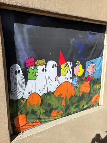 Customer photo review of Custom Single Garage Door Cover