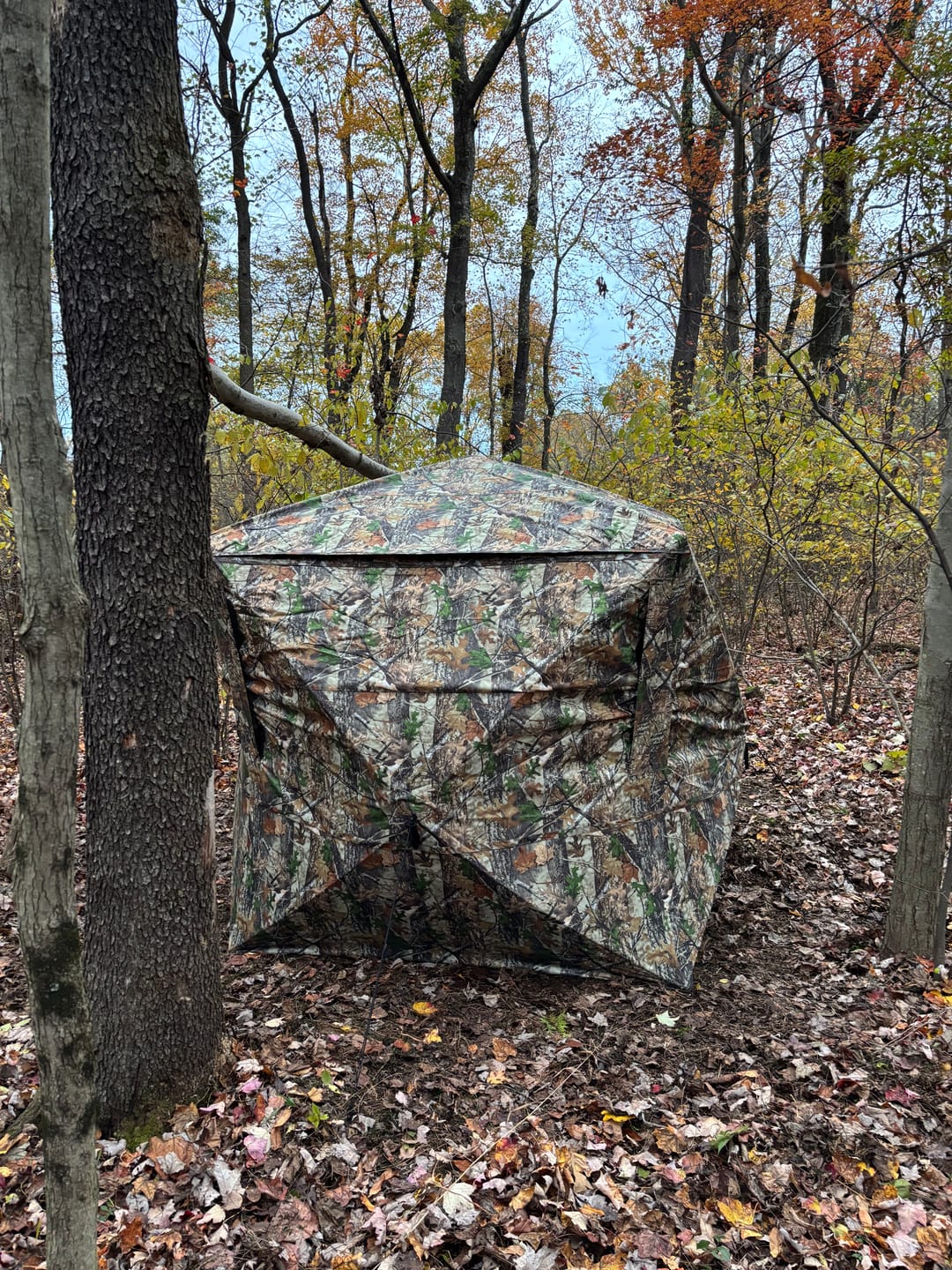 Customer photo review of FlipGuard 270 Big Flipping Door RainProof See-Through Whitetail Hunting Blind