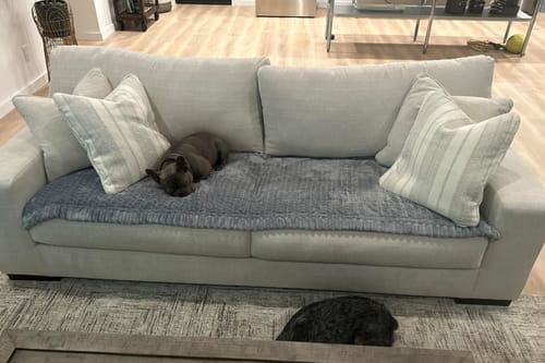 Customer photo review of Dog Bed Cover Sofa Protector,Anti Slip Sofa Covers for Living Room Couch Covers,Sofa Mat,Seat Cover,Dog Mat,Pet Pad for Furniture 1 Piece