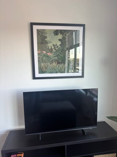 Customer photo review of The Equatorial Jungle 1909