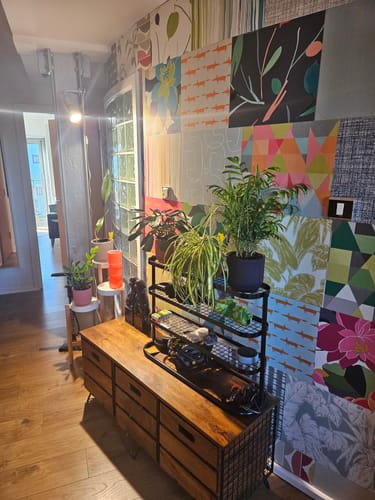 Customer photo review of Pianta Grow Light and Stelo Clip-On Bulb Holder Bundle
