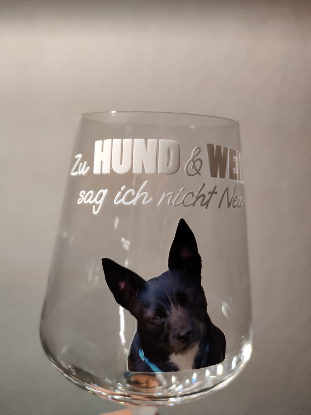 Customer photo review of Zu Hund und Wein sag ich nicht nein - Individuelles Weinglas
