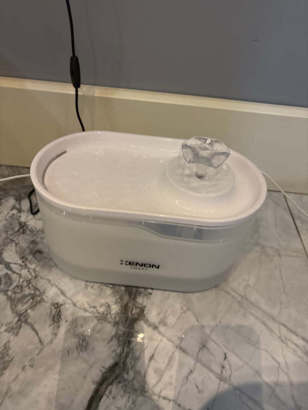Customer photo review of Akıllı Kedi Su Pınarı Beyaz