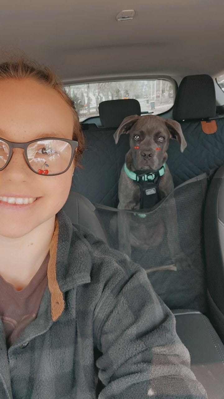 Customer photo review of The Guardian - Dog Seat Cover