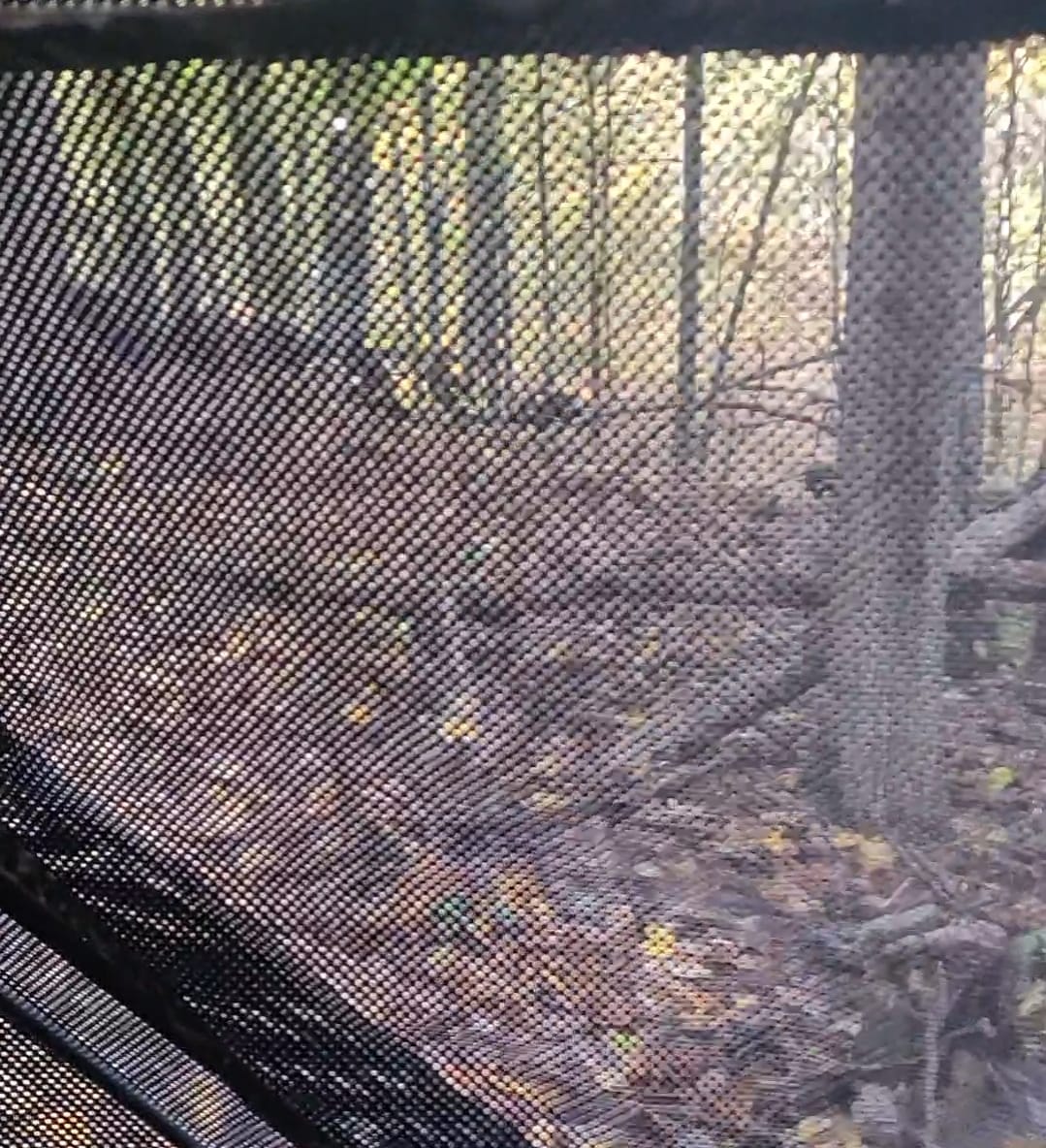 Customer photo review of Tidewe Vis360 See-Through Ground Blind for Deer/ Turkey Hunting (3-4 Person)