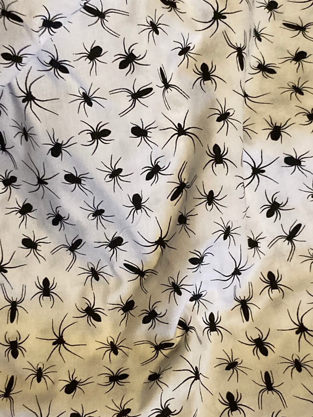 Customer photo review of All Over Spiders Polycotton Fabric
