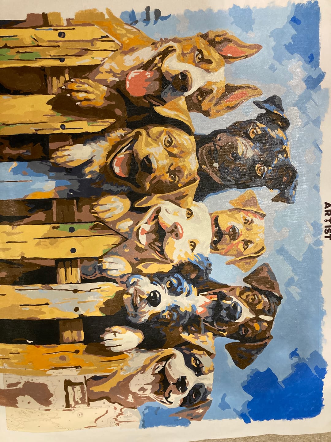 Customer photo review of Dog Days of Summer
