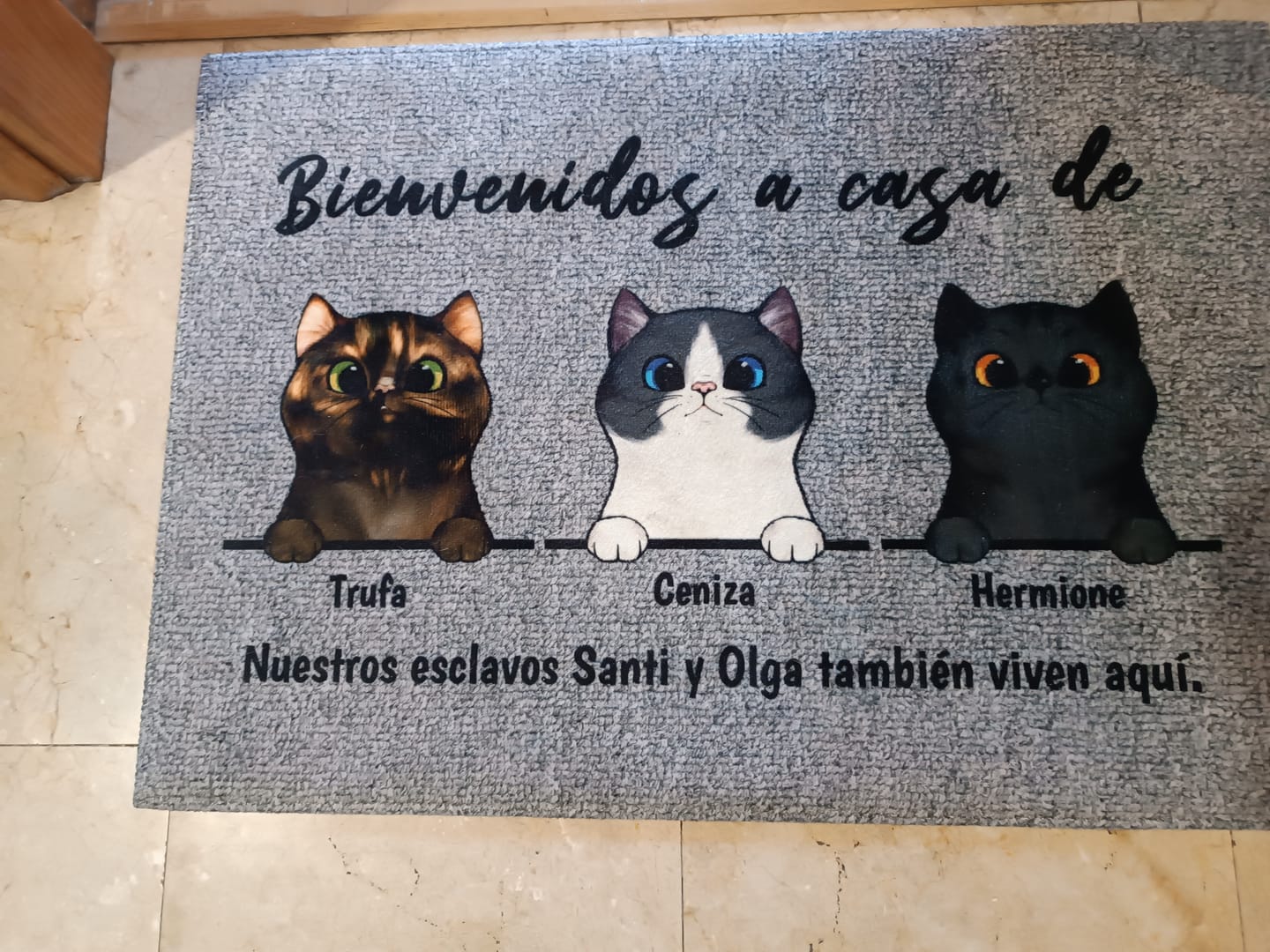 Customer photo review of Bienvenidos a lo de gatos curiosos - Felpudo personalizado