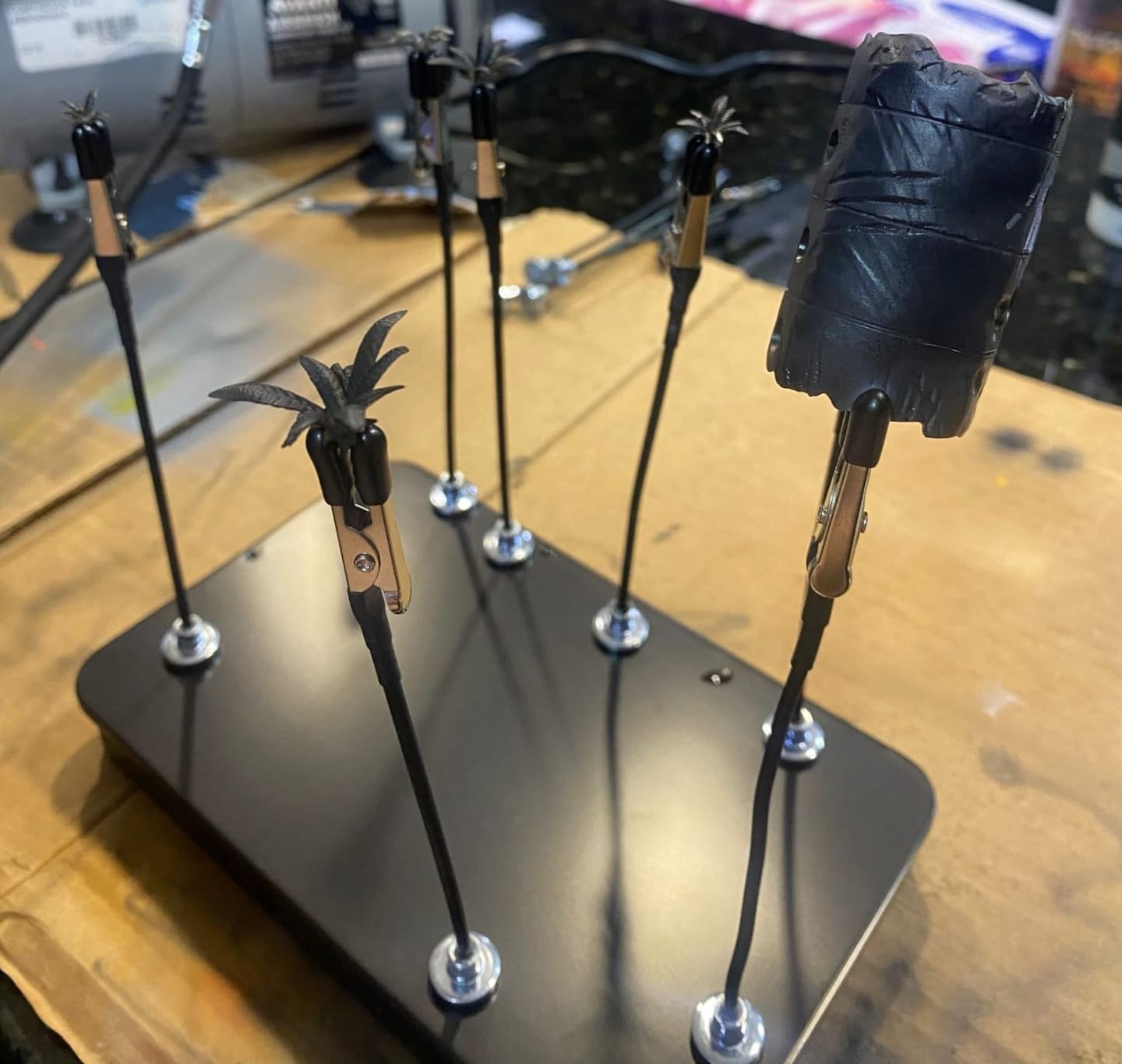 Customer photo review of MagStand Pro