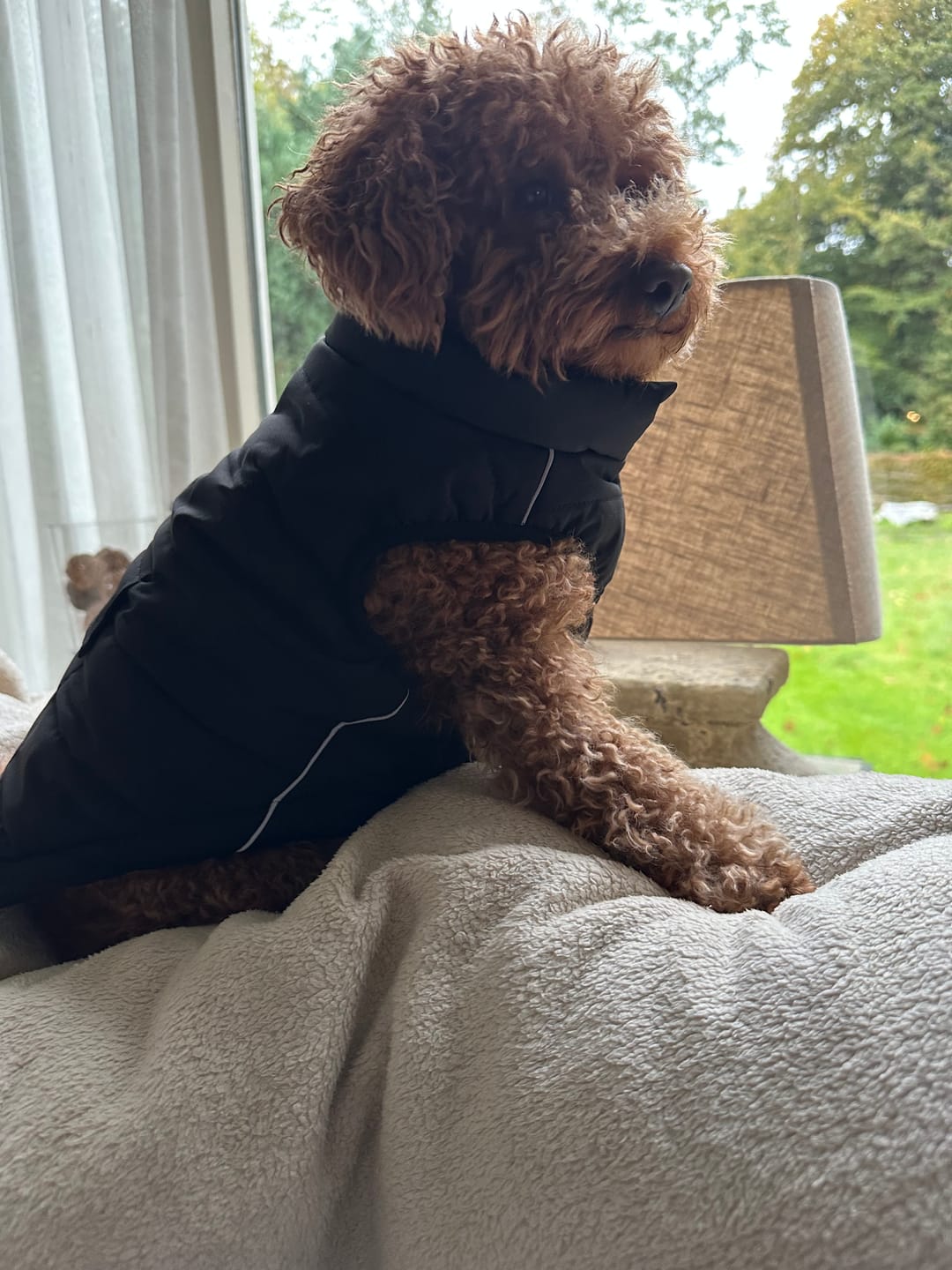 Customer photo review of WarmShield Water-Resistant Jacket - Black