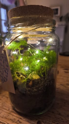 Customer photo review of Lieferung zum Wunschtermin