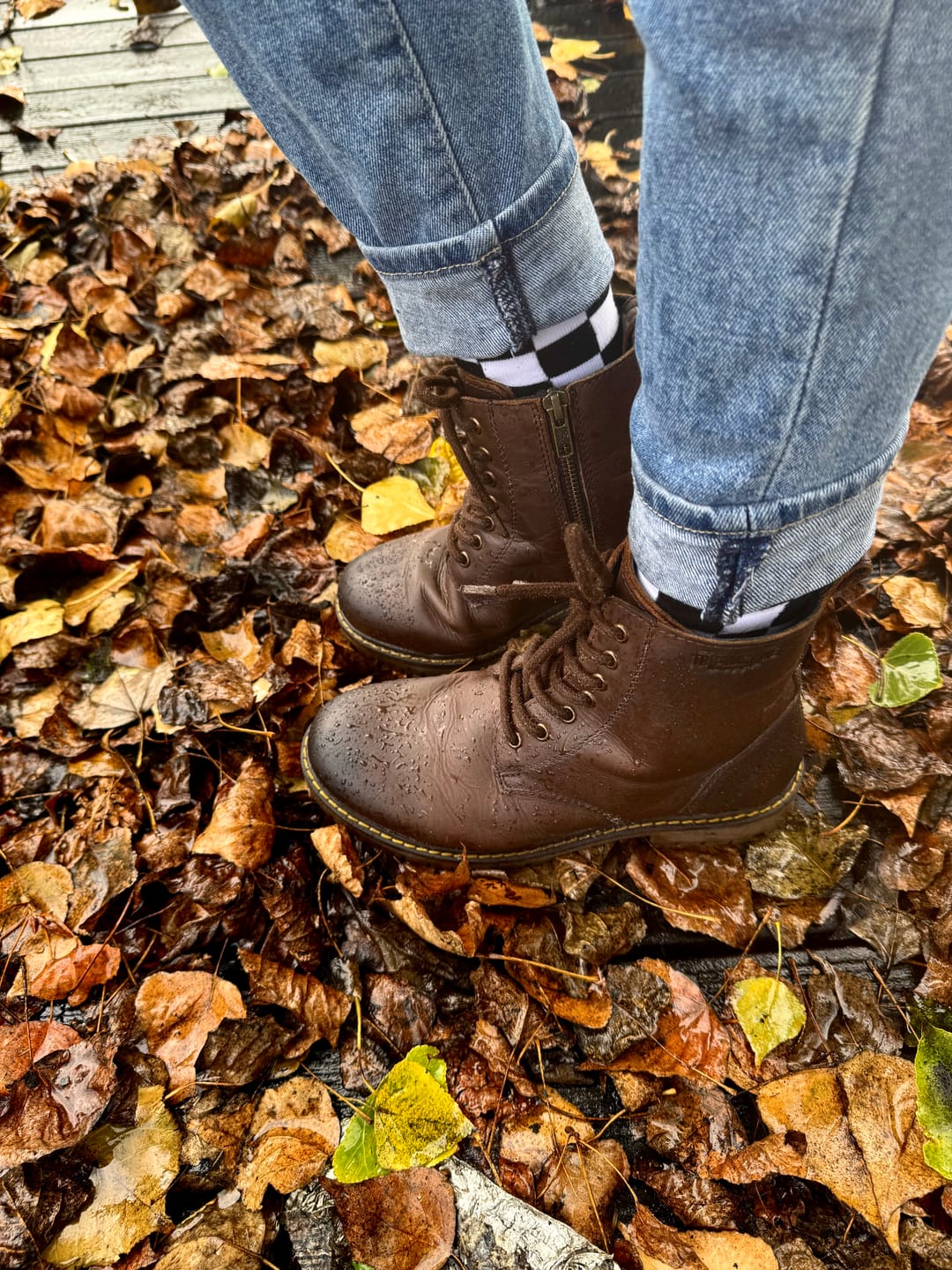 Customer photo review of hellcat: women's riding boots black