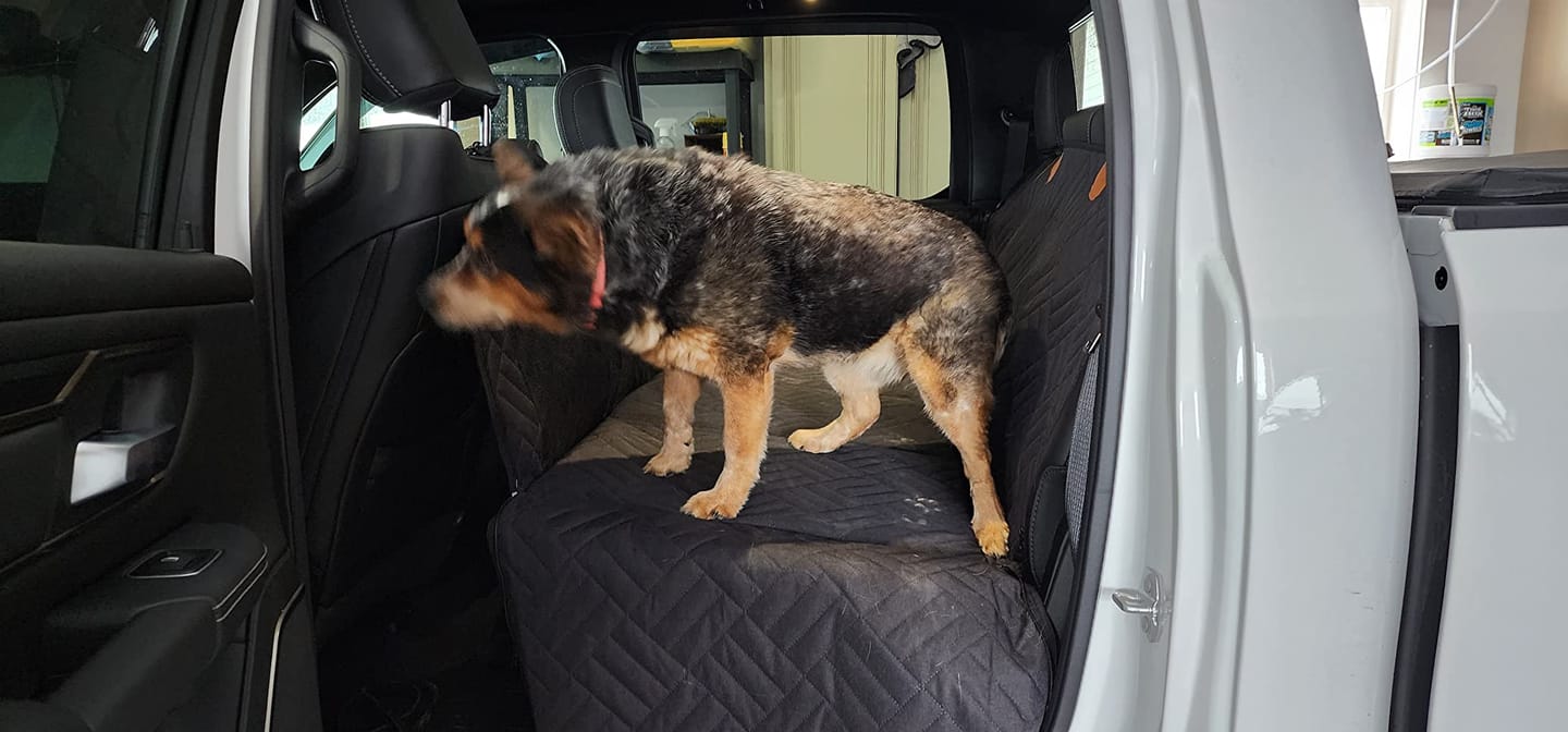 Customer photo review of The Guardian - Dog Seat Cover