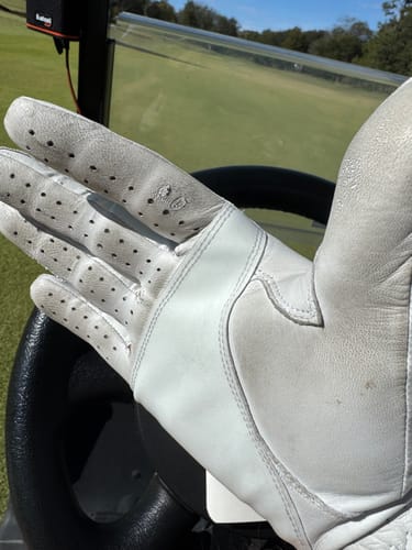 Customer photo review of Divots SureGrip Glove