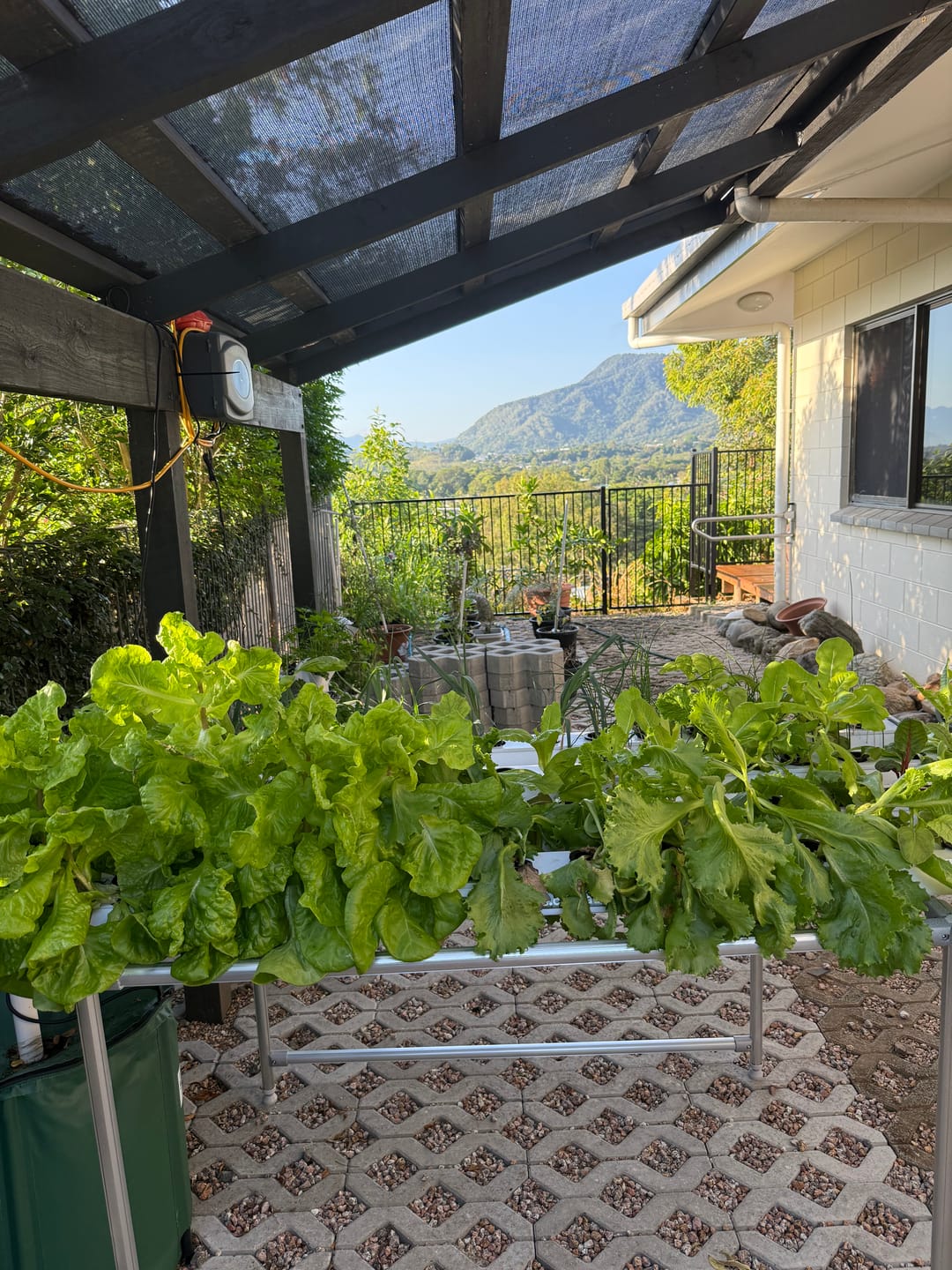 Customer photo review of The Salad Table Nutrient 2L Refill Kit