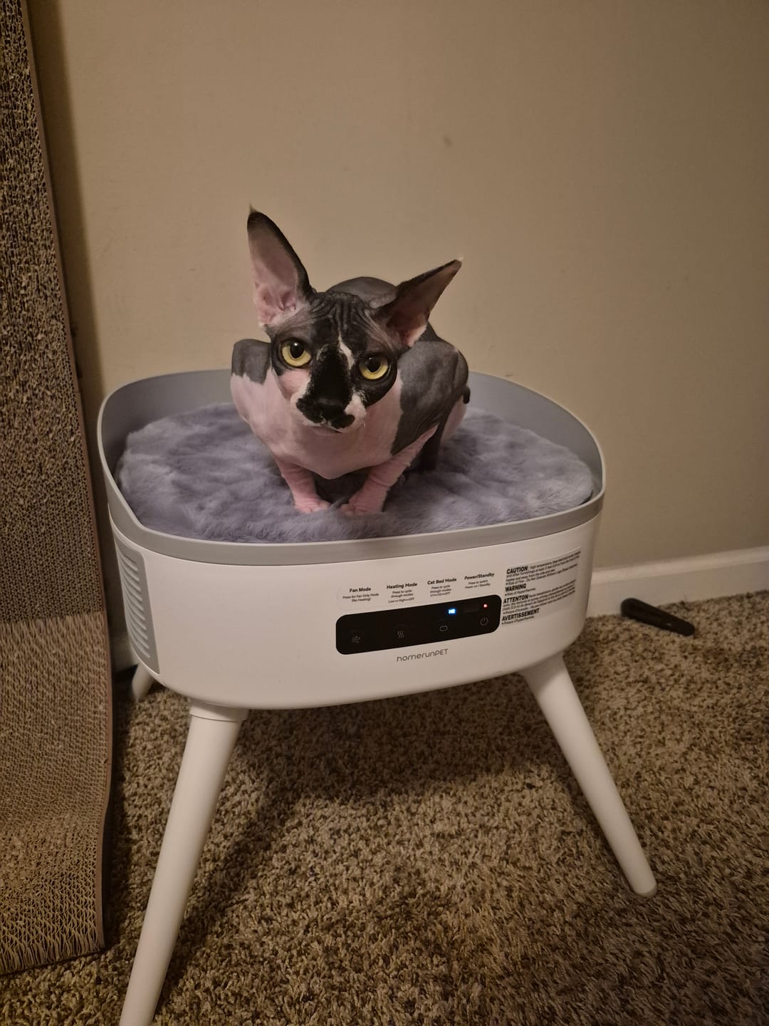 Customer photo review of Pet-Friendly Space Heater PH20