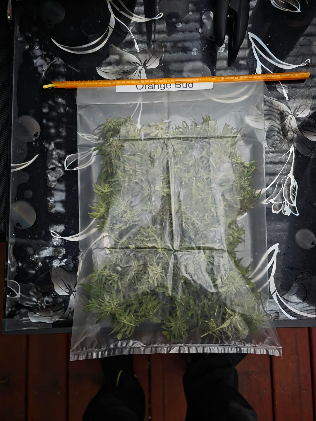 Customer photo review of DryFerm Bag (3er Set)