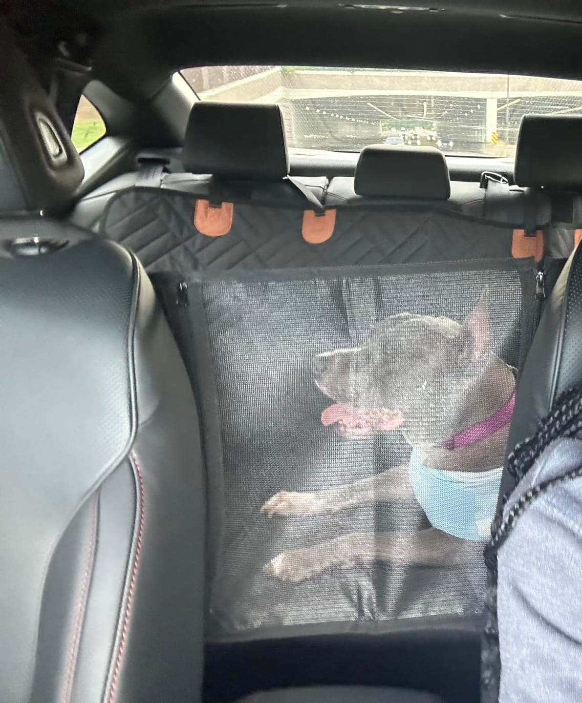 Customer photo review of The Guardian - Dog Seat Cover