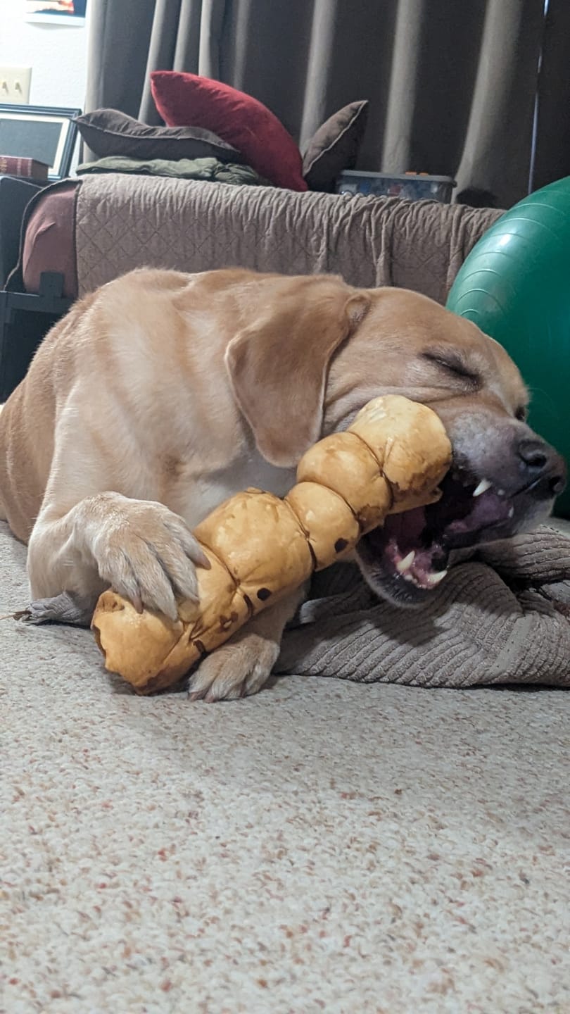 Customer photo review of 10-12 Inch Peanut Butter Cheek Roll