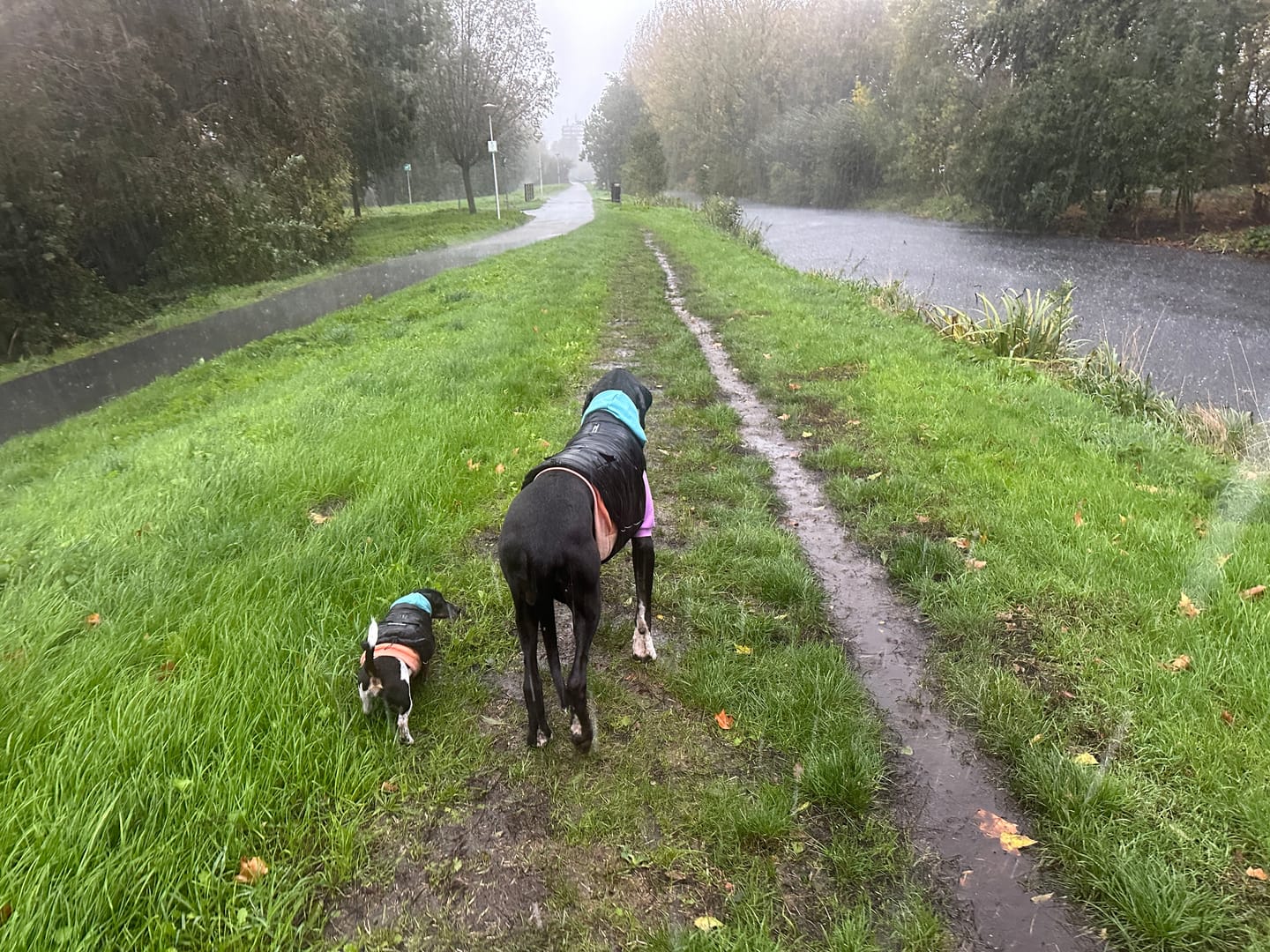 Customer photo review of WarmShield Water-Resistant Jacket - Black