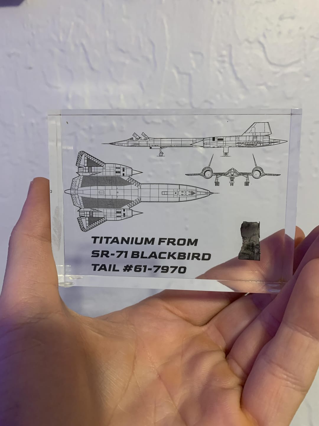 Customer photo review of SR-71 Blackbird Titanium (Jet Blueprint)