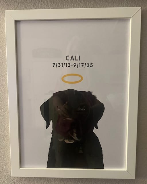 Customer photo review of Custom Memorial Pet Portrait w/ Halo