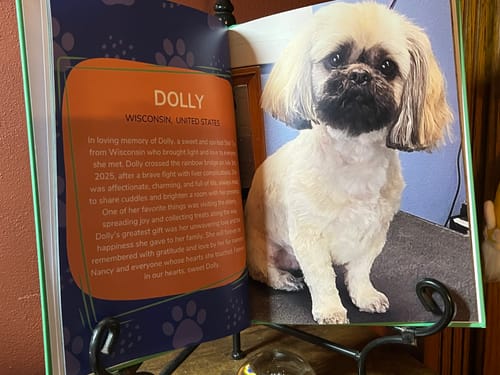 Customer photo review of Meet the Cutest Pets of Pupvote in the 2025 Photobook