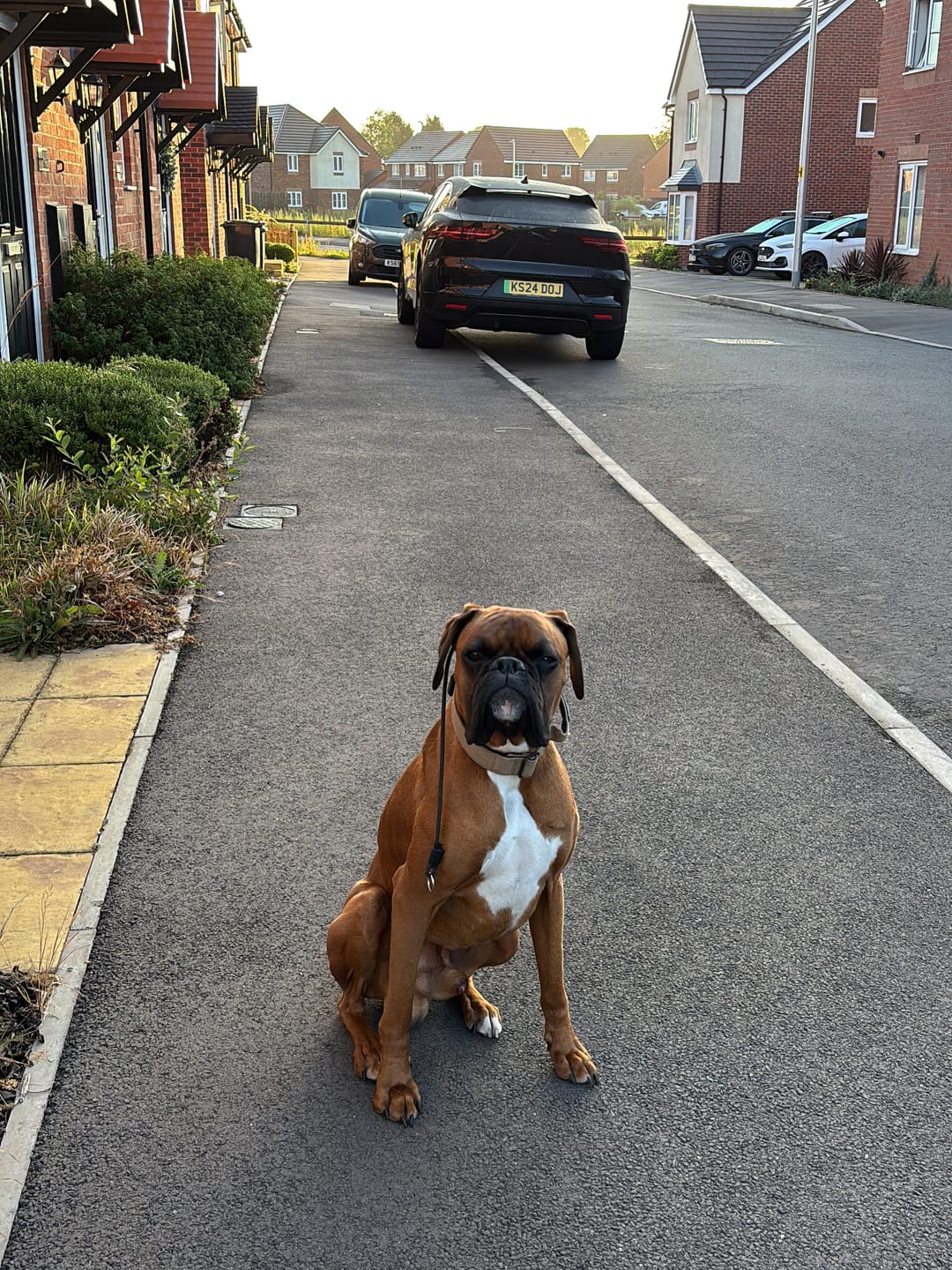 Customer photo review of 4cm Combat Billowthane® Collar | Waterproof - Khaki