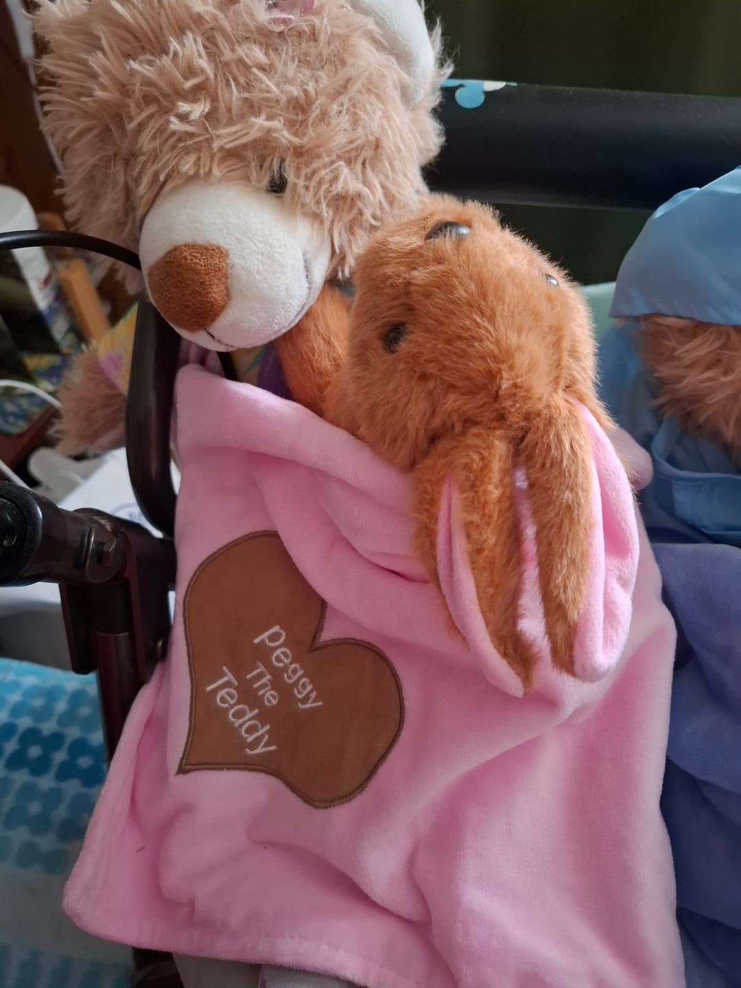 Customer photo review of Peggy The Teddy Snuggle Blanket