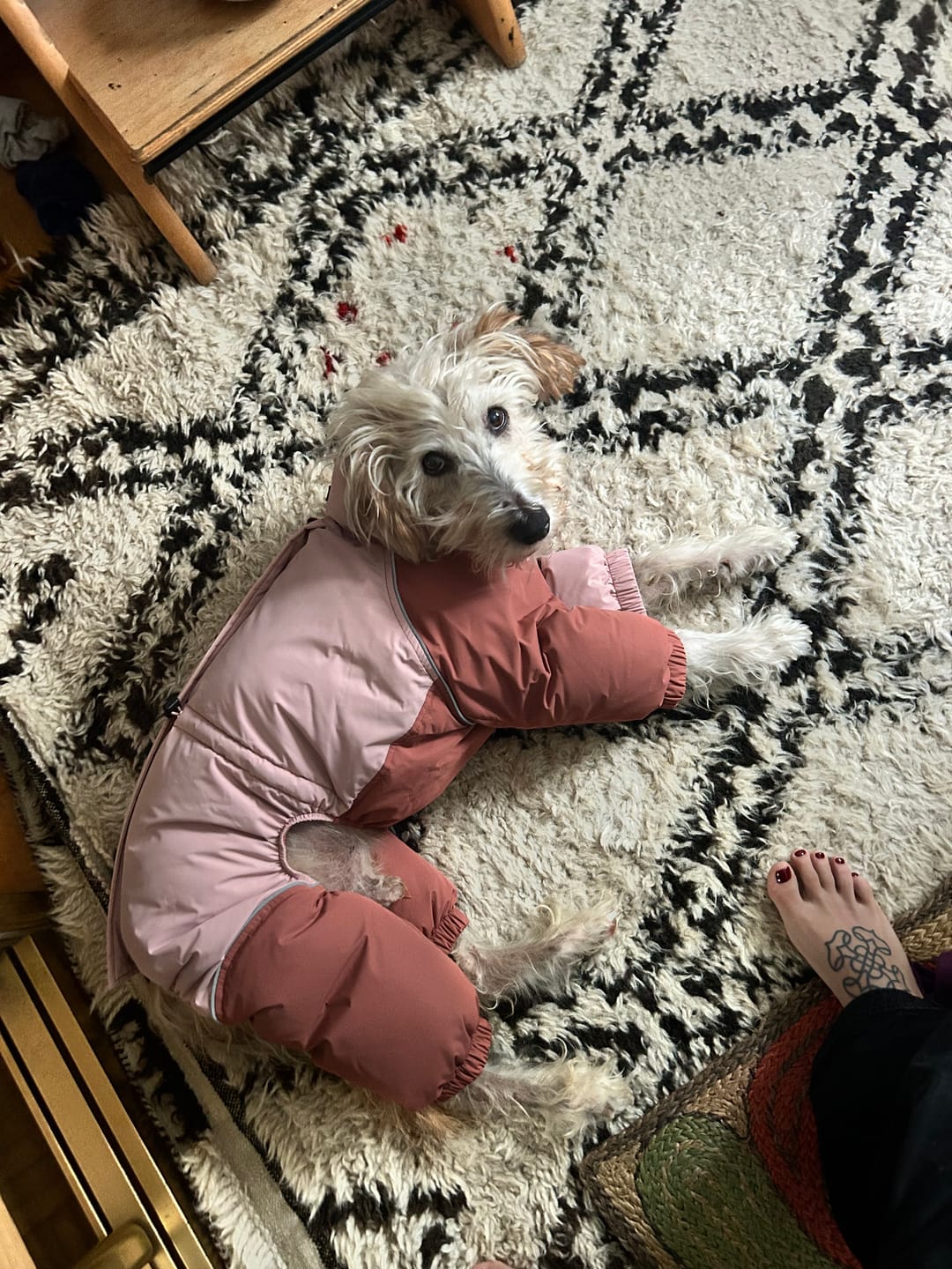 Customer photo review of Autumn Breeze Outdoor Suit