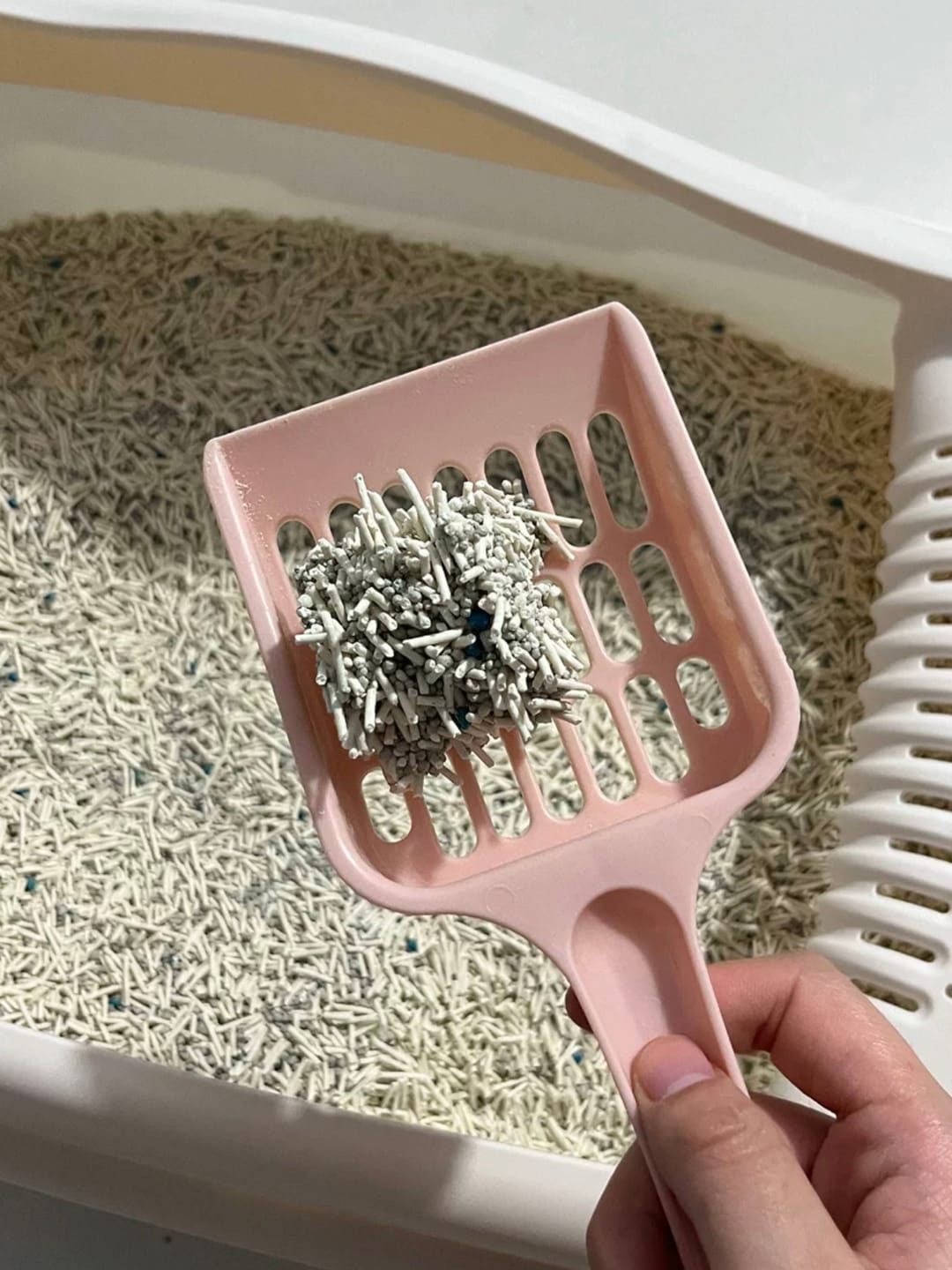 Customer photo review of Michu Mixed Tofu Cat Litter Lite 6L – Flushable, Eco-Friendly & Odour Control