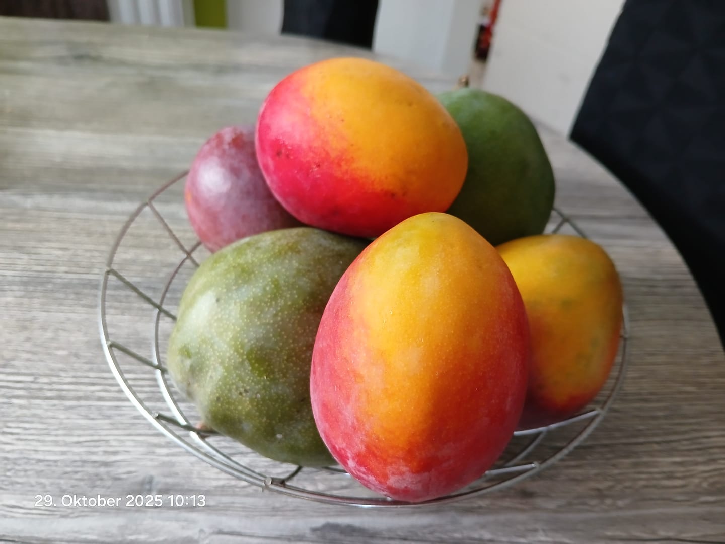 Customer photo review of Mango Sensacion von Julian Aktionswoche %