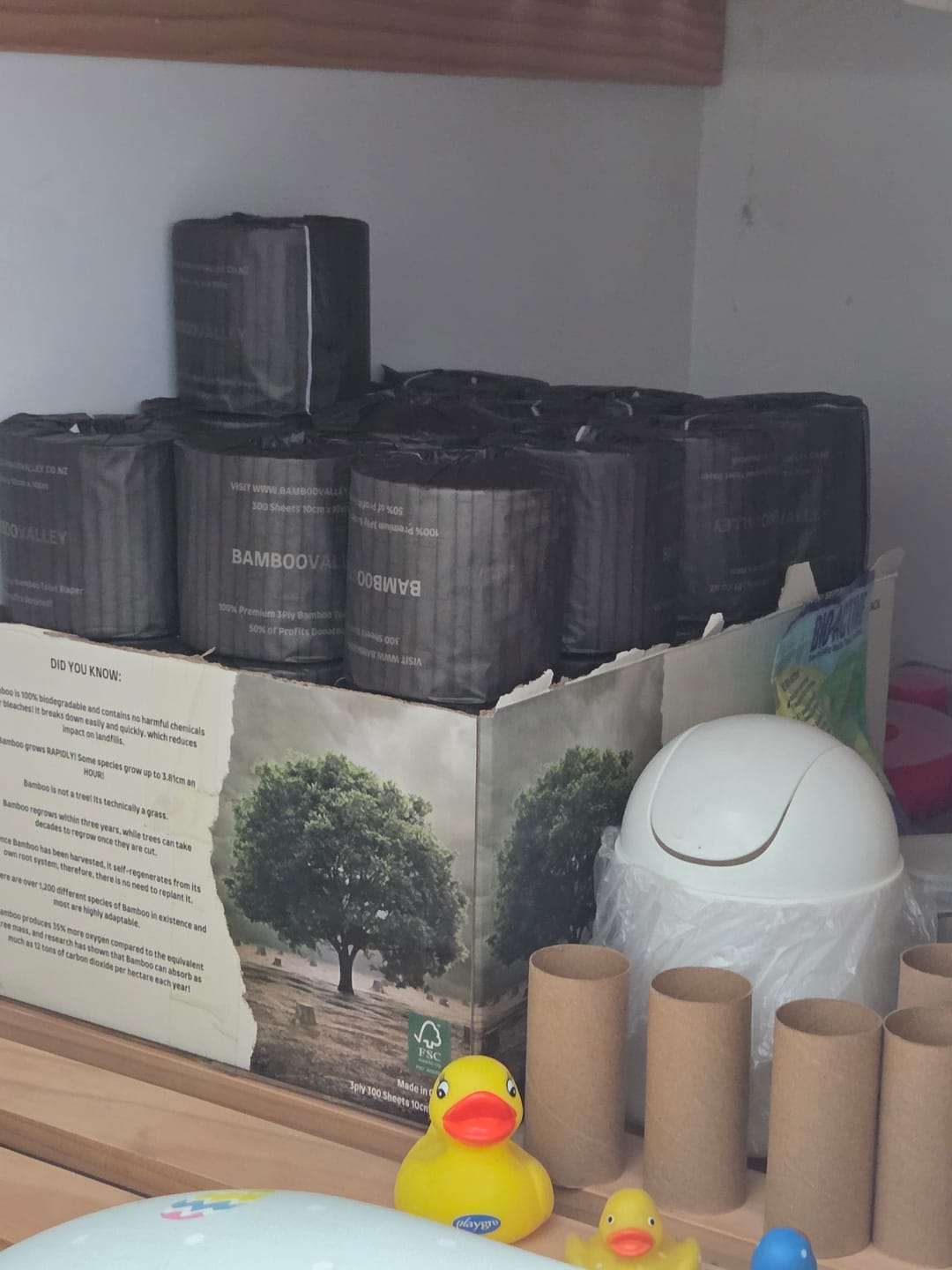 Customer photo review of Donate to planting more Trees! 24 Pack