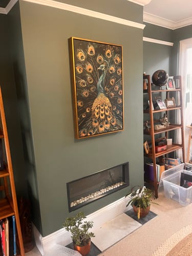 Customer photo review of Vintage Peacock No1 Print